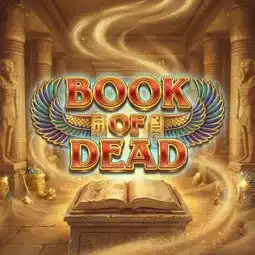 Book of Dead game at Wild Fortune Casino for Australian players
